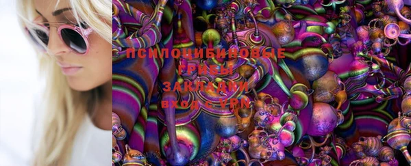 круглые Алзамай