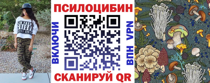 Псилоцибиновые грибы прущие грибы  Качканар 